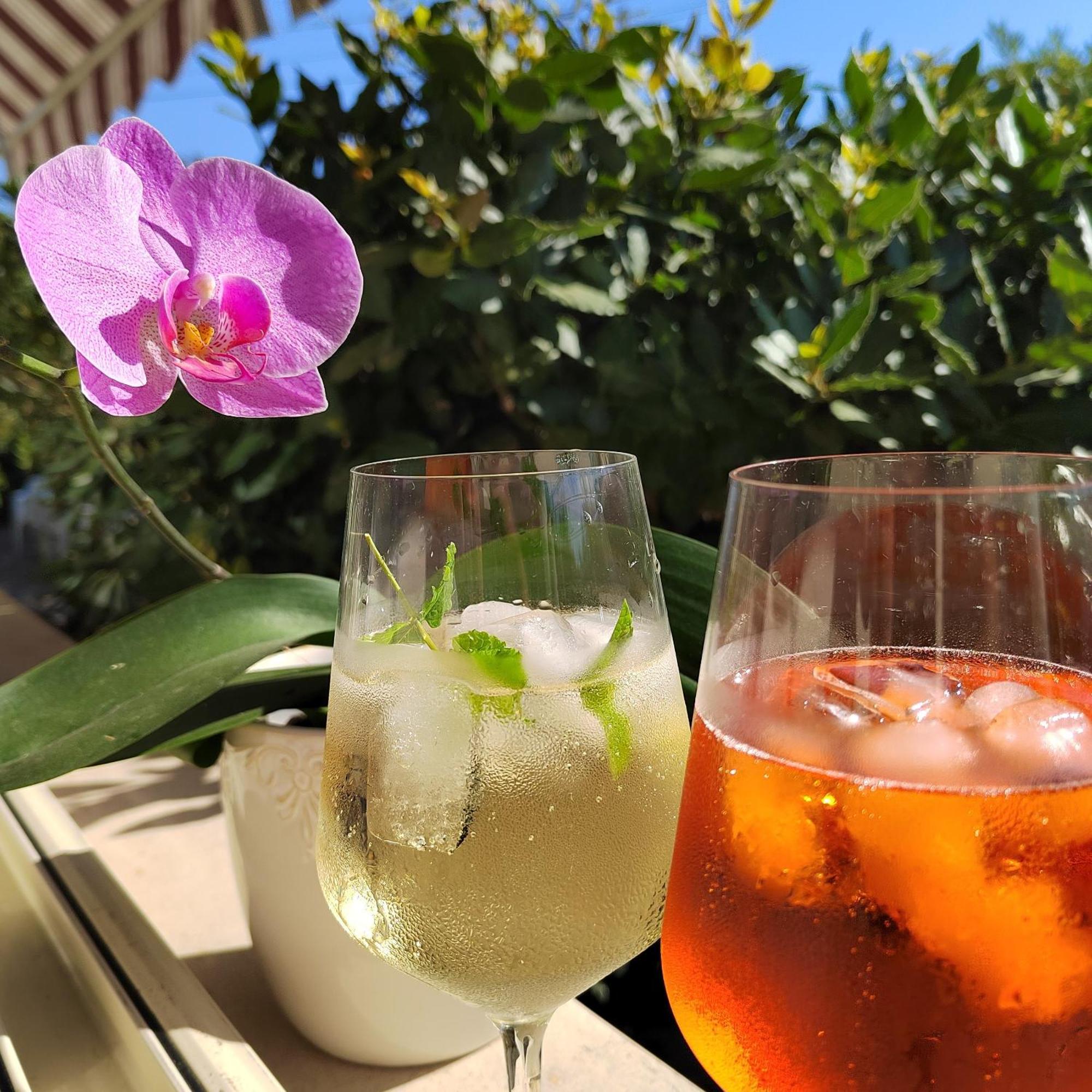 Hotel Puccinelli Lido di Camaiore Eksteriør billede