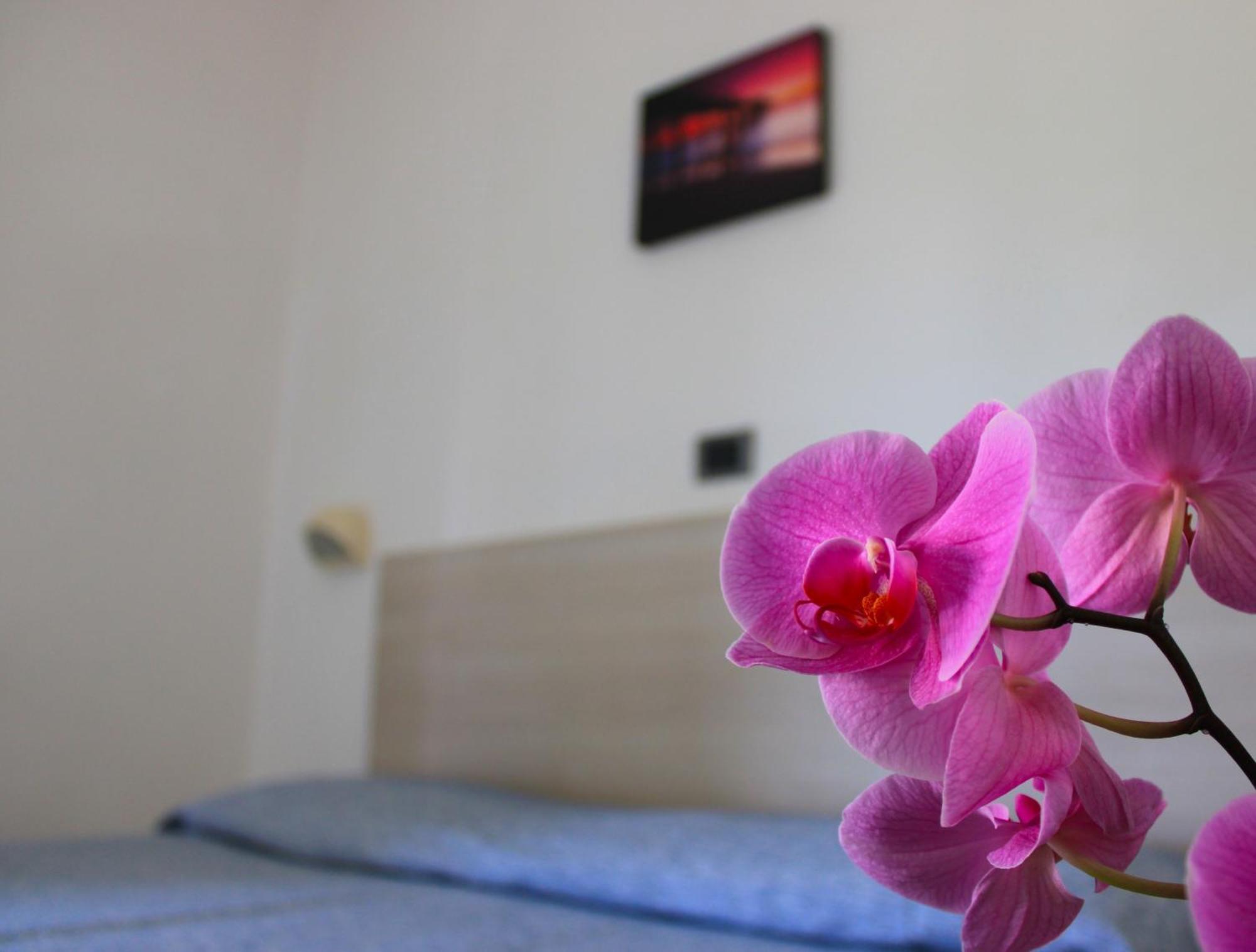 Hotel Puccinelli Lido di Camaiore Eksteriør billede