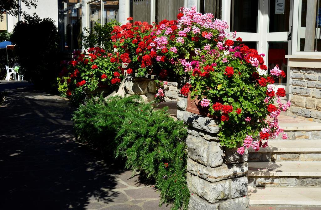 Hotel Puccinelli Lido di Camaiore Eksteriør billede